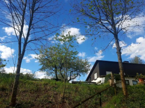 Sauerland Alm Winterberg 5